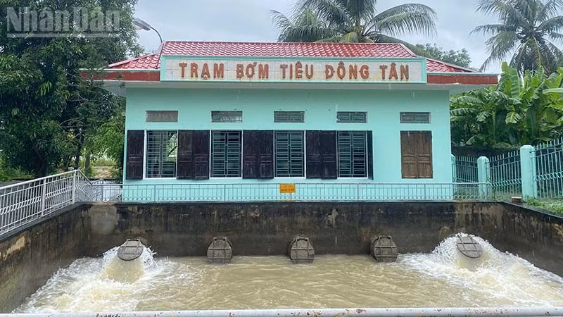 ndo_tl_2-dong-tan.jpg