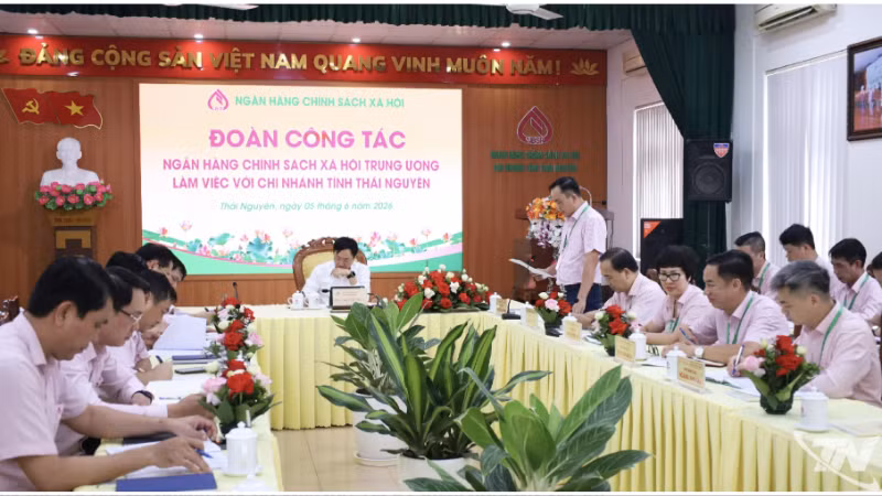 Đến ngày 31/5, tổng nguồn vốn của chi nhánh đạt 10.097 tỷ đồng, tăng 519 tỷ đồng so với cuối năm 2025.