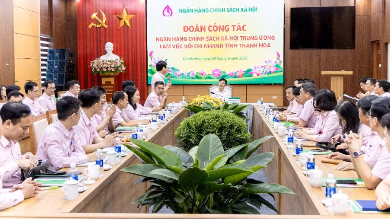 Quang cảnh buổi làm việc.