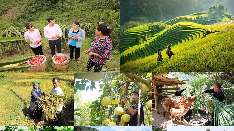 Tín dụng chính sách của Chính phủ đã giúp người nghèo và các đối tượng yếu thế tự tin, vươn lên trong cuộc sống.