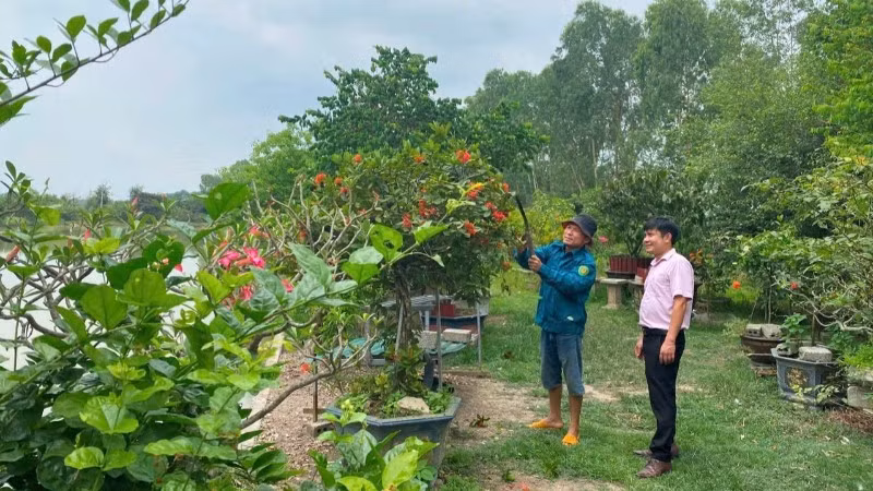 nho-von-chinh-sach-nhieu-ho-gia-dinh-o-vung-dat-dien-chau-chu-dong-phat-trien-san-xuat-kinh-doanh-cai-thien-cuoc-song-5062.jpg