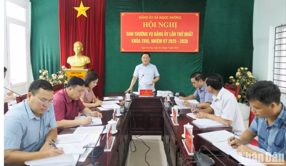 anh-6-3167.jpg