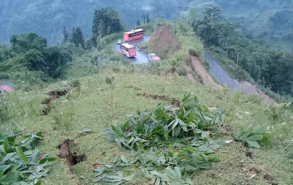 a235.jpg