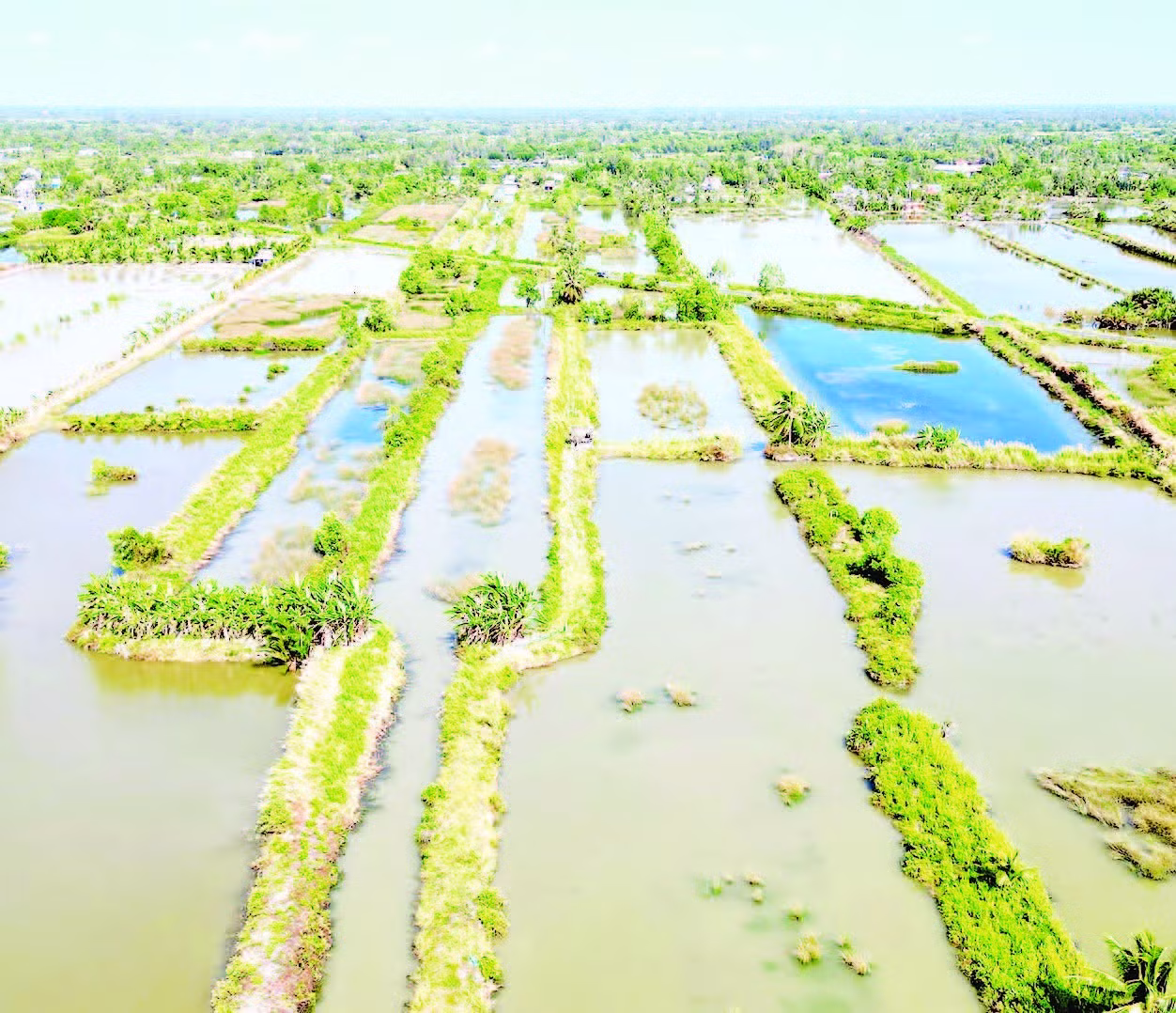 vung-song-nuoc.jpg