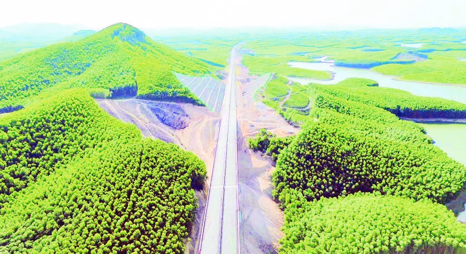 du-an-doan-van-ninh-cam-lo.jpg