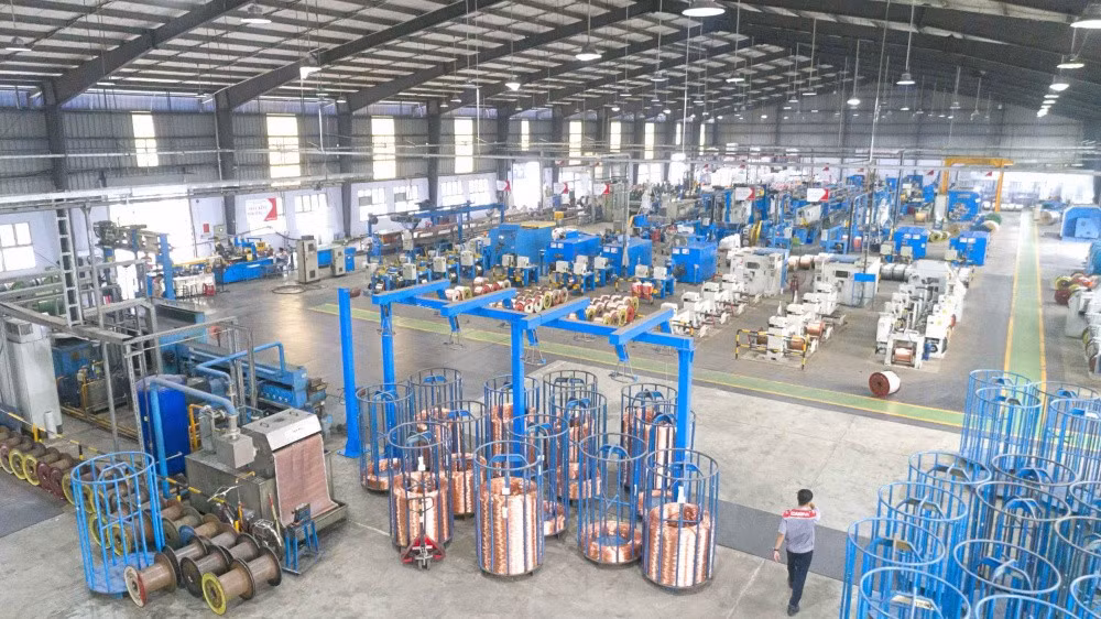 day-cap-dien-viet-nam-cav-ga-de-trung-vang-cua-tap-doan-gelex-chuan-bi-roi-hose-6672ed65e236f.jpg