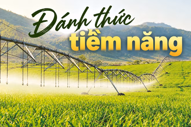 Đánh thức tiềm năng