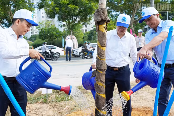 Lãnh đạo thành phố trồng cây xanh.