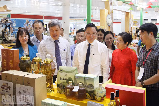 Đại biểu tham quan các gian hàng.