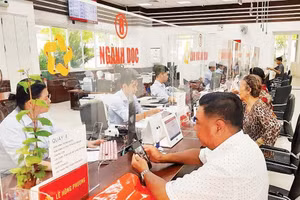 Phường Phú Nhuận, Thành phố Hồ Chí Minh đẩy mạnh cải cách hành chính phục vụ người dân và doanh nghiệp.