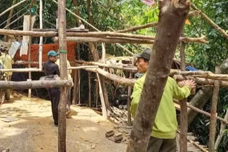 Lực lượng chức năng tháo dỡ lán trại của “vàng tặc” dựng trái phép giữa rừng phòng hộ. (Ảnh: cơ quan chức năng cung cấp)