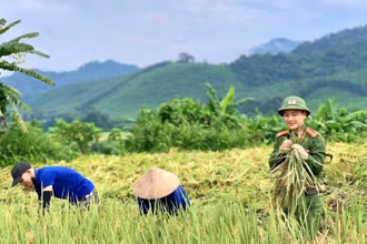 Sự nỗ lực của chính quyền địa phương và các lực lượng trong toàn xã, trong đó có lực lượng công an đã góp phần mang lại cuộc sống bình yên cho người dân xã Tiền Phong - một xã biên giới của tỉnh Nghệ An.