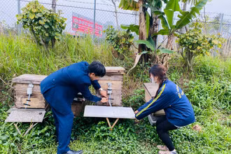 Việc áp dụng các công nghệ 4.0 trong bảo đảm chất lượng sản phẩm, minh bạch quá trình sản xuất và phân phối sản phẩm là giải pháp bền vững cho phát triển ngành ong Việt Nam.