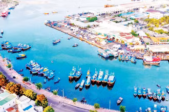 Phía đông nam Lâm Đồng giữ vai trò đầu mối kết nối ra biển, với lợi thế về năng lượng tái tạo và logistics.