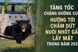 Ảnh thiết kế có yếu tố AI. 