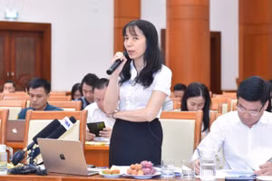 Bà Đào Thanh Hương, Phó Cục trưởng Cục Đầu tư nước ngoài cho biết: Bộ Tài chính đã chủ động xây dựng dự thảo Nghị quyết của Quốc hội về Chương trình hành động thực hiện Nghị quyết 10.