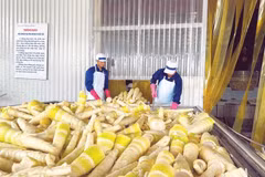 Măng bát độ được chế biến tại Công ty TNHH Yamazaki Việt Nam.