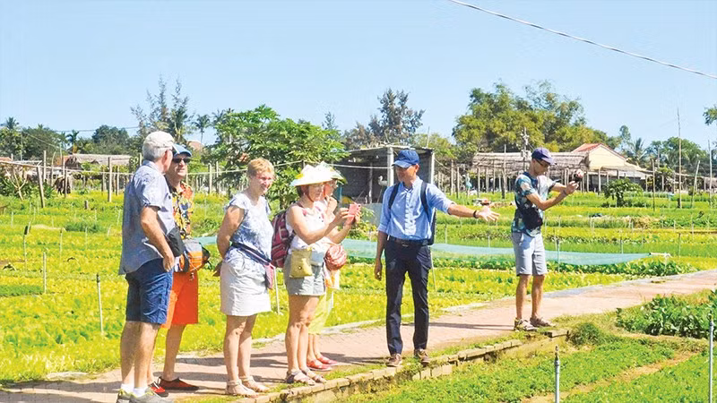 Du khách tham quan Làng rau Trà Quế, phường Hội An Tây, thành phố Đà Nẵng.
