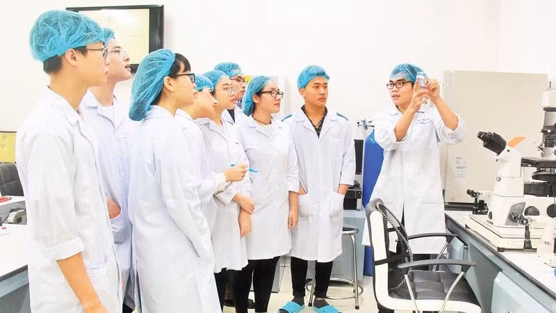 Hoạt động nghiên cứu khoa học tại Đại học Quốc gia Thành phố Hồ Chí Minh.