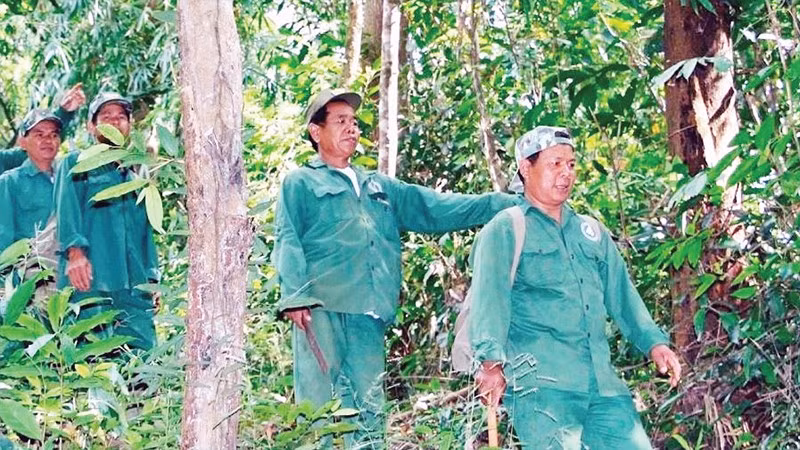Các thành viên trong tổ cộng đồng nhận khoán bảo vệ rừng quốc gia Bù Gia Mập tuần tra bảo vệ rừng.