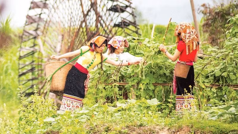 Đến với Hoa Tiến, du khách được hòa mình vào không gian đậm chất văn hóa đồng bào Thái ở miền tây Nghệ An.