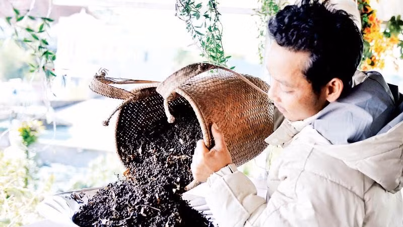 Quả lylu được anh Ha Phát hái về từ rừng và chế biến thành muối đặc sản.