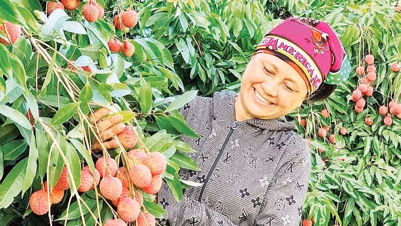 Nông dân xã Đoàn Đào chuyển đổi sang trồng vải trứng cho thu nhập cao.