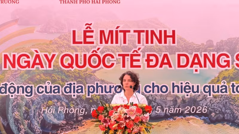 anhr-2-7241.jpg