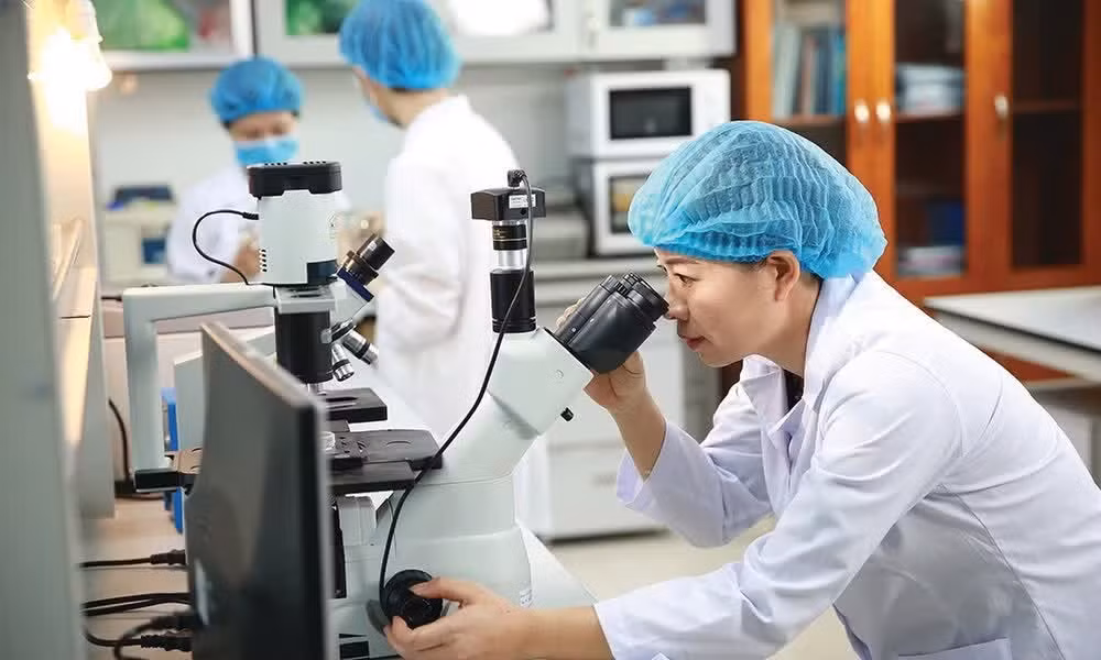 Nghiên cứu khoa học tại Viện Hàn Lâm Khoa học Công nghệ Việt Nam. (Ảnh: VÂN NGA)