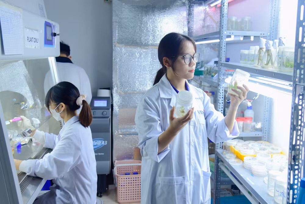 anh-co-so-vat-chat-usth-7.jpg