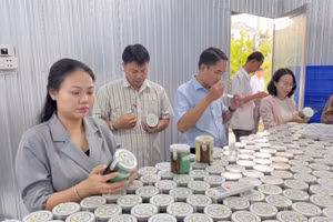 Đoàn công tác Ủy ban nhân dân phường Bình Đông tìm hiểu các sản phẩm nông sản tại tỉnh Vĩnh Long. 