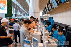 Từ ngày 25/8 tới đây, Vietnam Airlines Group (gồm các hãng Vietnam Airlines, Pacific Airlines và Vasco) sẽ mở bán vé Tết Đinh Mùi, với gần 3,7 triệu chỗ trên toàn mạng bay nội địa và quốc tế, tăng 11% so với cao điểm Tết 2026. (Ảnh: THẾ SƠN)