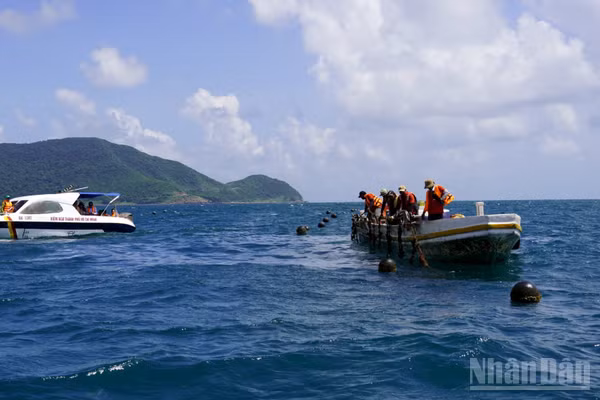 Khảo sát nuôi ngọc trai tại Côn Đảo. (Ảnh: Lê Đình Thìn)