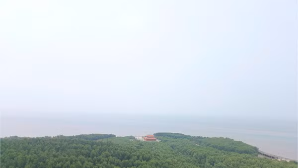 Màu xanh trên đất mũi Cà Mau.