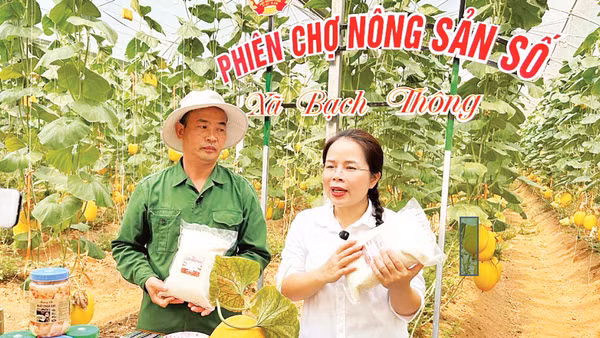 Bí thư Đảng ủy, Chủ tịch HĐND xã Bạch Thông (Thái Nguyên) Ma Thị Mận cùng nông dân livestream giới thiệu sản phẩm.