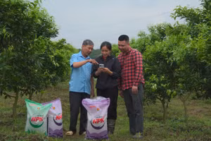Bà con hào hứng quét mã QR tham gia chương trình.