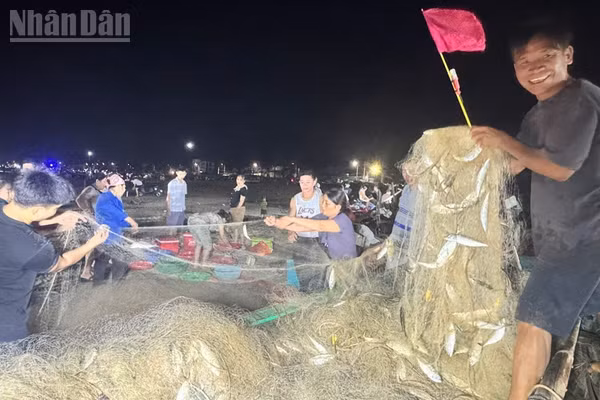Theo chia sẻ của các ngư dân, nhờ trúng luồng cá nên chỉ sau 5 giờ đi biển, bình quân mỗi thuyền thu về gần 2 tạ cá bạc má. 