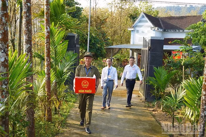 Xã Trà Tân, thành phố Đà Nẵng tổ chức lực lượng vận chuyển thùng phiếu phụ đến tận nơi để người dân được bỏ phiếu.