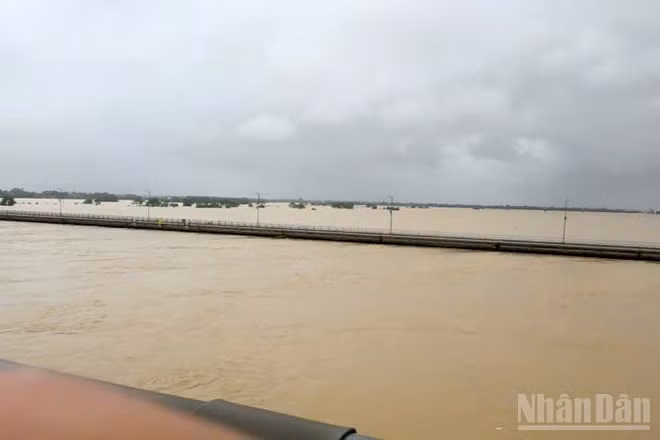 Nước sông Thu Bồn tại Câu Lâu ở mức xấp xỉ lũ lịch sử.