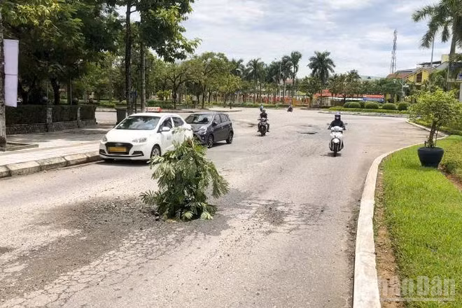 Đường Hùng Vương xuất hiện nhiều ổ gà nằm ngay giữa đường.