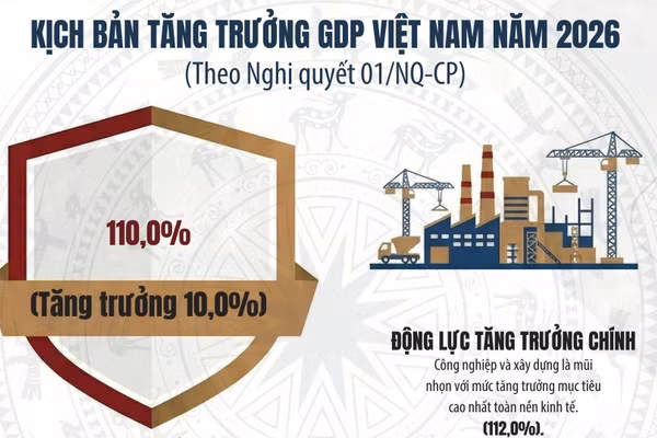Gallery - Phục hồi nhanh, phát triển kinh tế bền vững - image 22