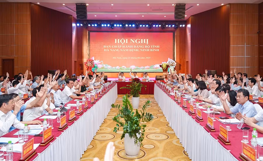 Các đại biểu biểu quyết tại hội nghị.