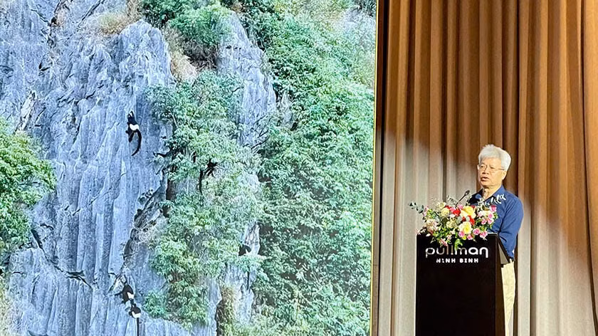Voọc mông trắng - loài linh trưởng quý, hiếm. (Ảnh: HÀ NAM)