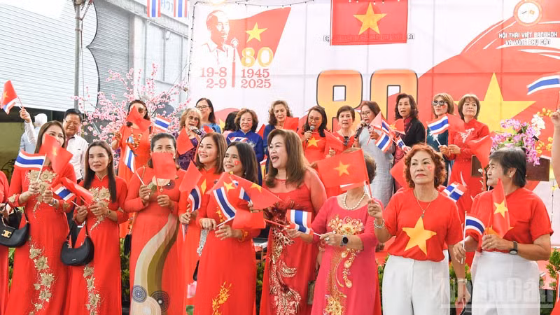 ndo_br_anh-5.jpg