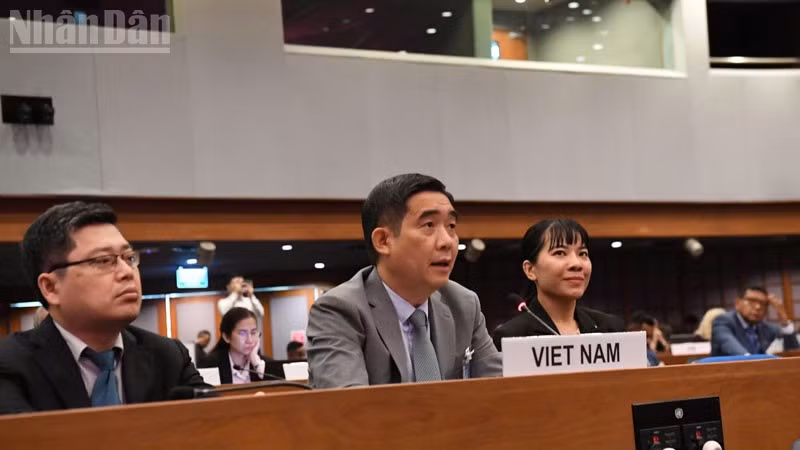 ndo_tl_anh-6.jpg