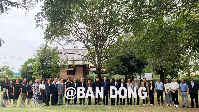 ndo_bl_anh-14.jpg
