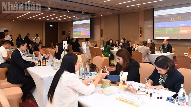 ndo_tl_anh-1619.jpg