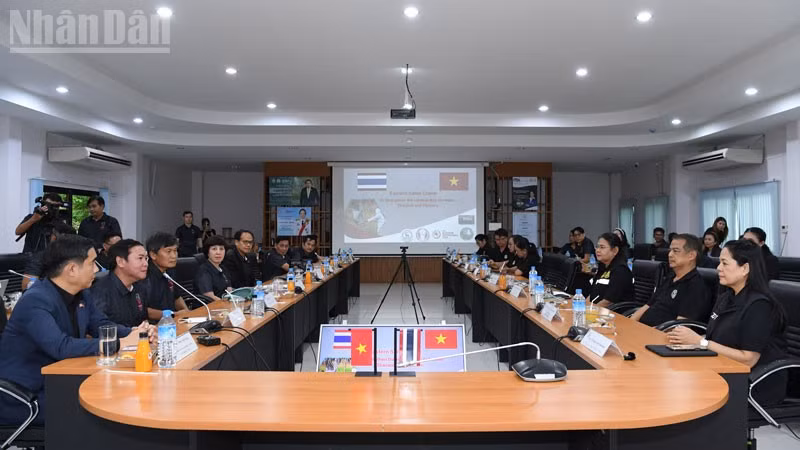 ndo_tl_anh-2.jpg
