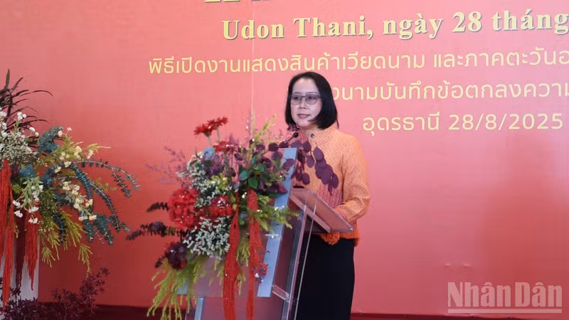 ndo_br_anh-4.jpg