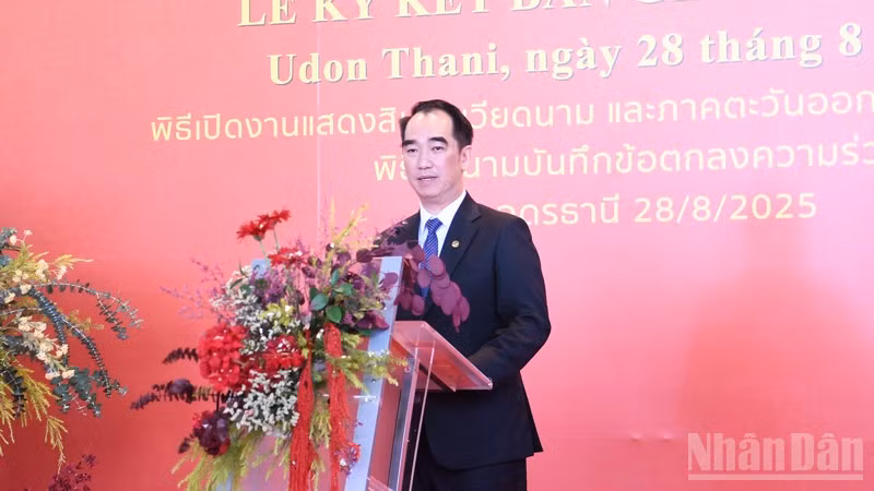 ndo_br_anh-5.jpg